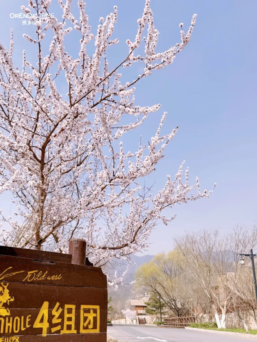 原乡“春日”的来信